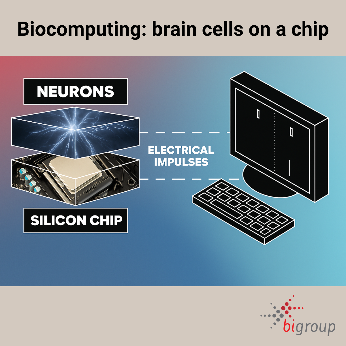 Diagram showing how human brain cells interface with a silicon chip to send electrical impulses to a computer, representing biocomputing.